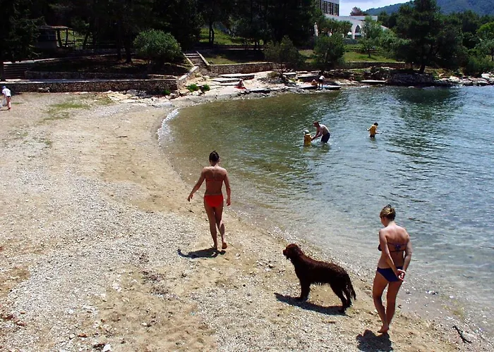 شقة With A Parking Space Stari Grad, Hvar - 11731 ستاري غراد